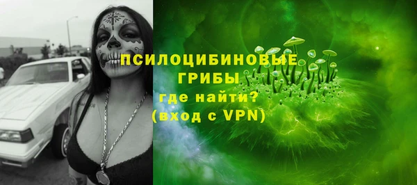 ПСИЛОЦИБИНОВЫЕ ГРИБЫ Горно-Алтайск