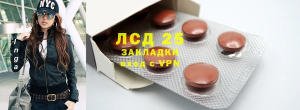ПСИЛОЦИБИНОВЫЕ ГРИБЫ Горно-Алтайск