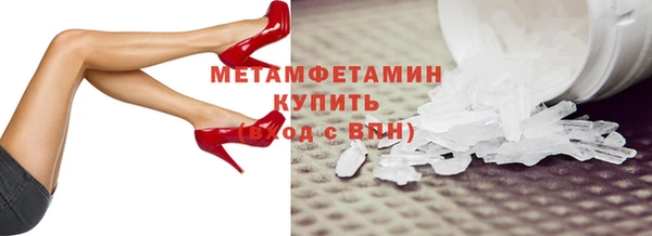 ПСИЛОЦИБИНОВЫЕ ГРИБЫ Горно-Алтайск