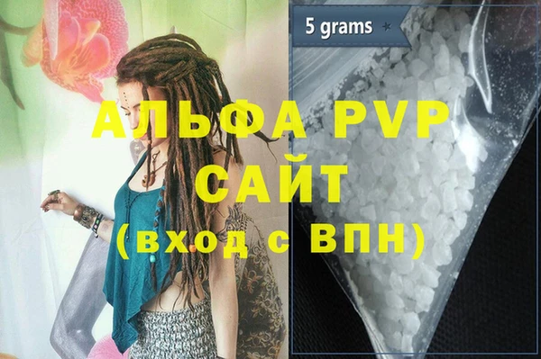 ПСИЛОЦИБИНОВЫЕ ГРИБЫ Горно-Алтайск
