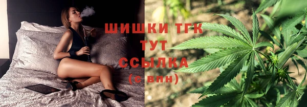 ПСИЛОЦИБИНОВЫЕ ГРИБЫ Горно-Алтайск