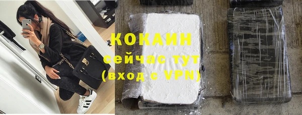 ПСИЛОЦИБИНОВЫЕ ГРИБЫ Горно-Алтайск