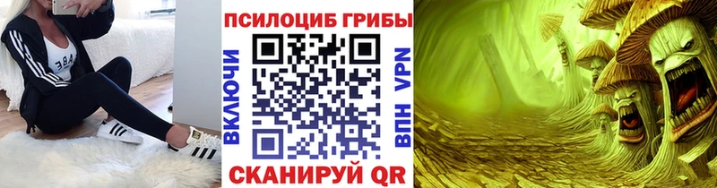 мега ONION Меленки Галлюциногенные грибы Psilocybine cubensis