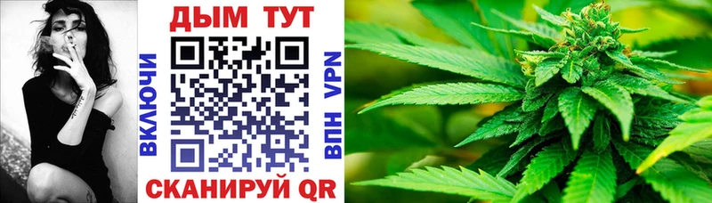 где найти   Меленки  Бошки марихуана ГИДРОПОН 